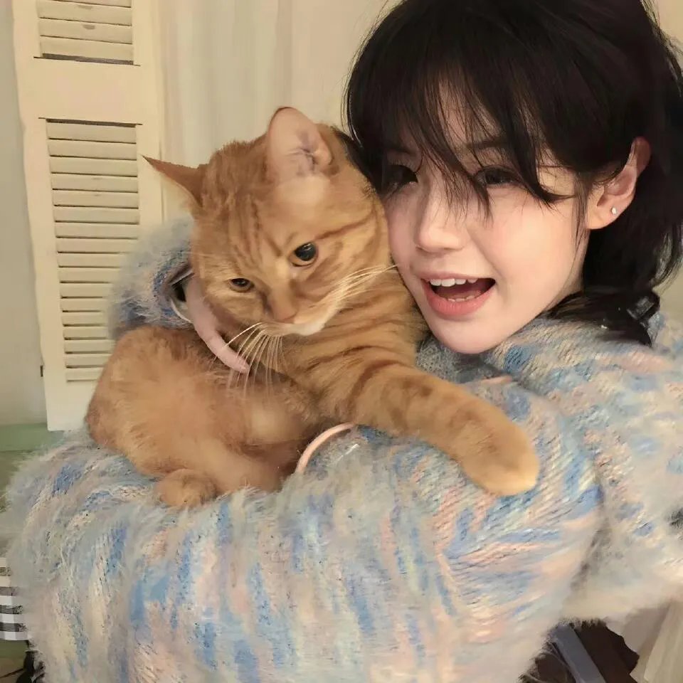 美人赠我锦绣缎